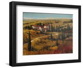 Tuscany II-Tim O'toole-Framed Art Print