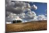 Tuscany III-Maciej Duczynski-Mounted Photographic Print