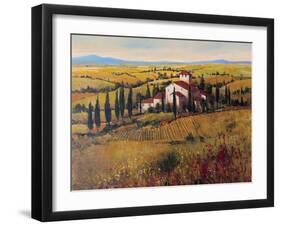 Tuscany III-Tim O'toole-Framed Art Print