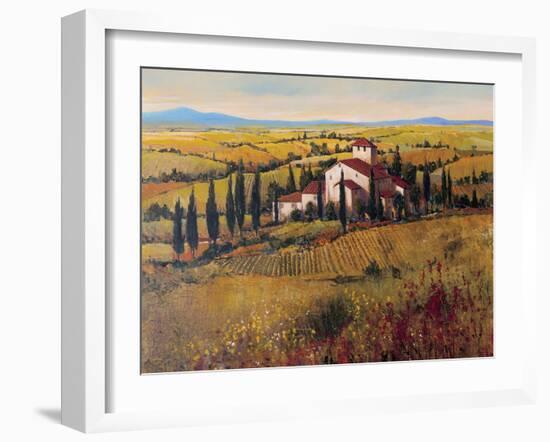 Tuscany III-Tim O'toole-Framed Art Print