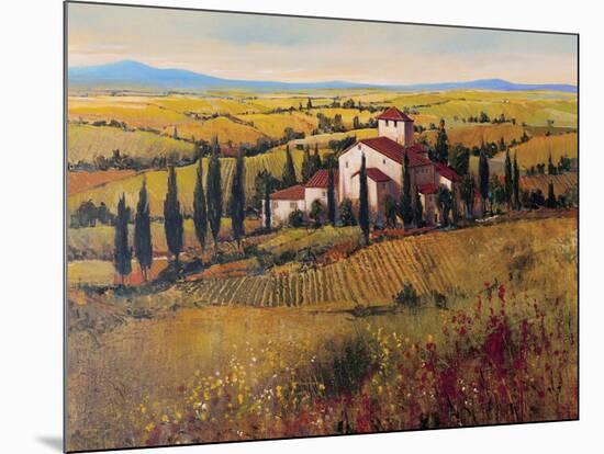 Tuscany III-Tim O'toole-Mounted Art Print