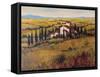 Tuscany III-Tim O'toole-Framed Stretched Canvas