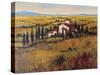 Tuscany III-Tim O'toole-Stretched Canvas