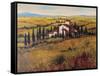 Tuscany III-Tim O'toole-Framed Stretched Canvas