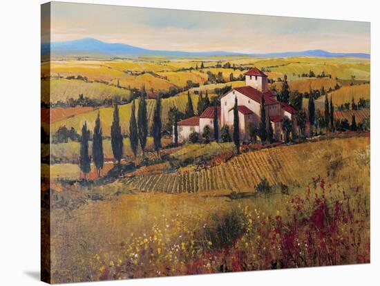 Tuscany III-Tim O'toole-Stretched Canvas