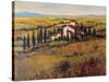 Tuscany III-Tim O'toole-Stretched Canvas