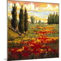 Tuscany in Bloom I-JM Steele-Mounted Giclee Print