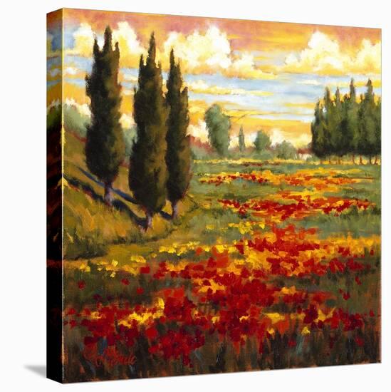 Tuscany in Bloom I-JM Steele-Stretched Canvas