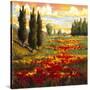 Tuscany in Bloom I-JM Steele-Stretched Canvas