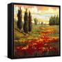 Tuscany in Bloom I-JM Steele-Framed Stretched Canvas