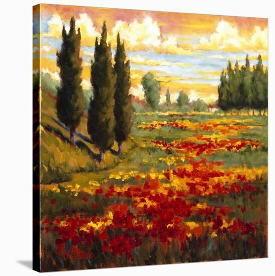 Tuscany in Bloom I-JM Steele-Stretched Canvas