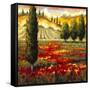 Tuscany in Bloom II-JM Steele-Framed Stretched Canvas