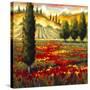 Tuscany in Bloom II-JM Steele-Stretched Canvas