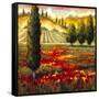 Tuscany in Bloom II-JM Steele-Framed Stretched Canvas