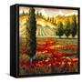 Tuscany in Bloom II-JM Steele-Framed Stretched Canvas