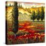 Tuscany in Bloom II-JM Steele-Stretched Canvas