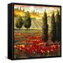 Tuscany in Bloom III-JM Steele-Framed Stretched Canvas
