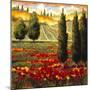 Tuscany in Bloom III-JM Steele-Mounted Premium Giclee Print