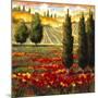 Tuscany in Bloom III-JM Steele-Mounted Giclee Print