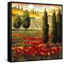 Tuscany in Bloom III-JM Steele-Framed Stretched Canvas