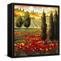 Tuscany in Bloom III-JM Steele-Framed Stretched Canvas