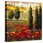 Tuscany in Bloom III-JM Steele-Stretched Canvas