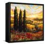 Tuscany in Bloom IV-null-Framed Stretched Canvas