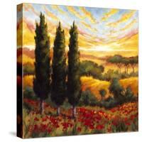 Tuscany in Bloom IV-null-Stretched Canvas