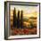 Tuscany in Bloom IV-null-Framed Giclee Print