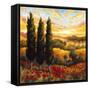 Tuscany in Bloom IV-null-Framed Stretched Canvas