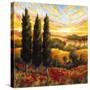 Tuscany in Bloom IV-null-Stretched Canvas