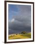 Tuscany IV-Maciej Duczynski-Framed Photographic Print