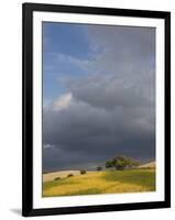 Tuscany IV-Maciej Duczynski-Framed Photographic Print