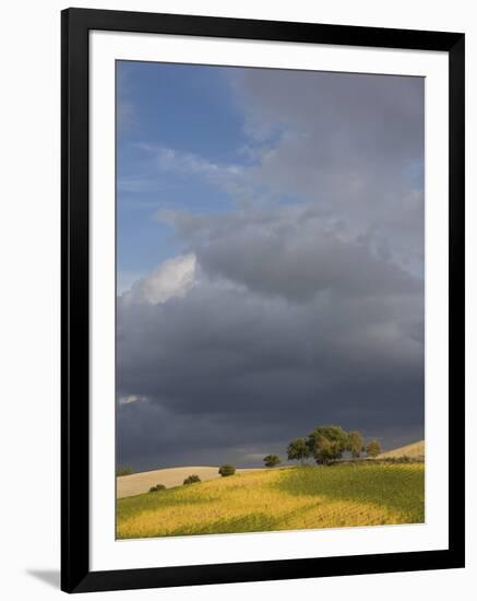 Tuscany IV-Maciej Duczynski-Framed Photographic Print