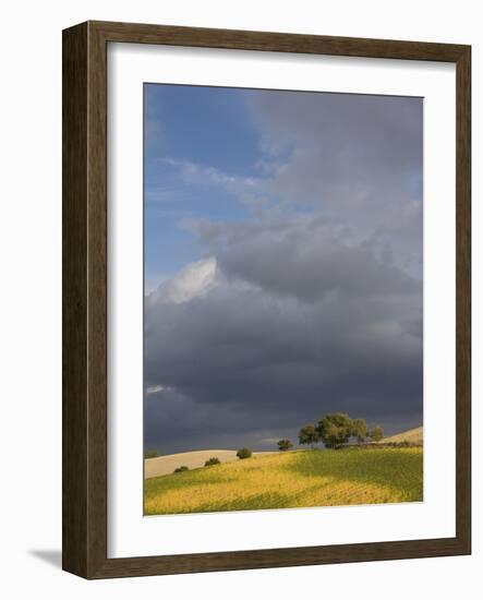 Tuscany IV-Maciej Duczynski-Framed Photographic Print