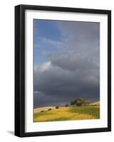 Tuscany IV-Maciej Duczynski-Framed Photographic Print