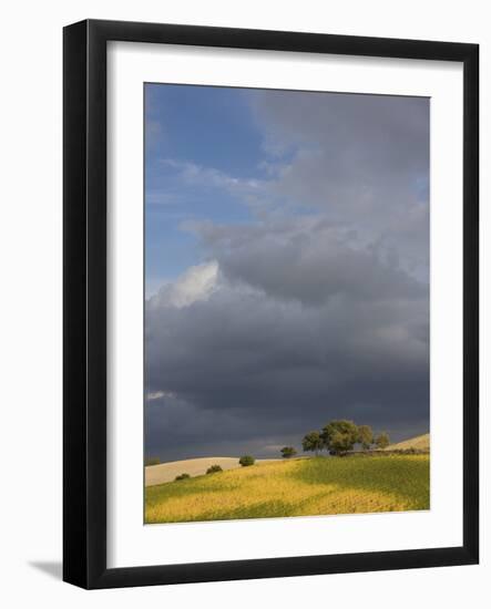 Tuscany IV-Maciej Duczynski-Framed Photographic Print