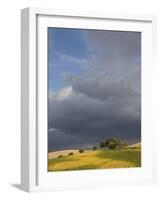 Tuscany IV-Maciej Duczynski-Framed Photographic Print