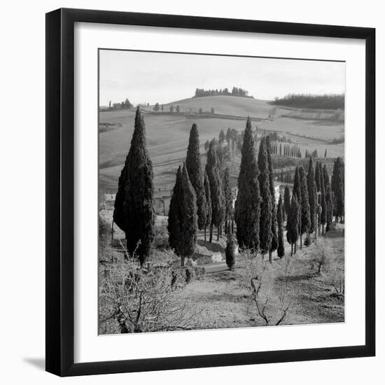 Tuscany IV-Alan Blaustein-Framed Photographic Print