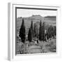 Tuscany IV-Alan Blaustein-Framed Photographic Print