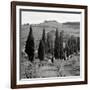 Tuscany IV-Alan Blaustein-Framed Photographic Print