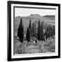 Tuscany IV-Alan Blaustein-Framed Photographic Print