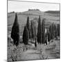 Tuscany IV-Alan Blaustein-Mounted Photographic Print