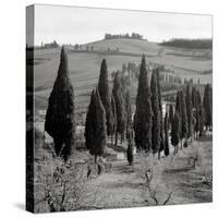 Tuscany IV-Alan Blaustein-Stretched Canvas