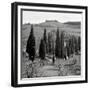 Tuscany IV-Alan Blaustein-Framed Photographic Print