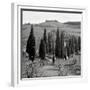 Tuscany IV-Alan Blaustein-Framed Photographic Print