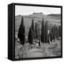 Tuscany IV-Alan Blaustein-Framed Stretched Canvas
