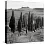 Tuscany IV-Alan Blaustein-Stretched Canvas