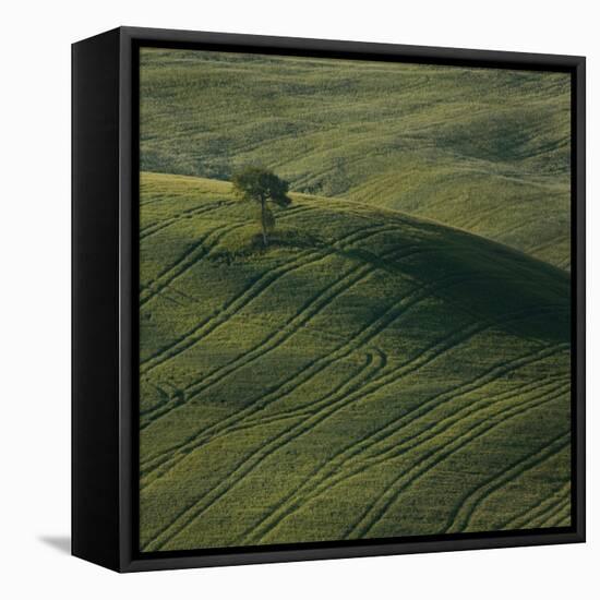 Tuscany IX-Maciej Duczynski-Framed Stretched Canvas