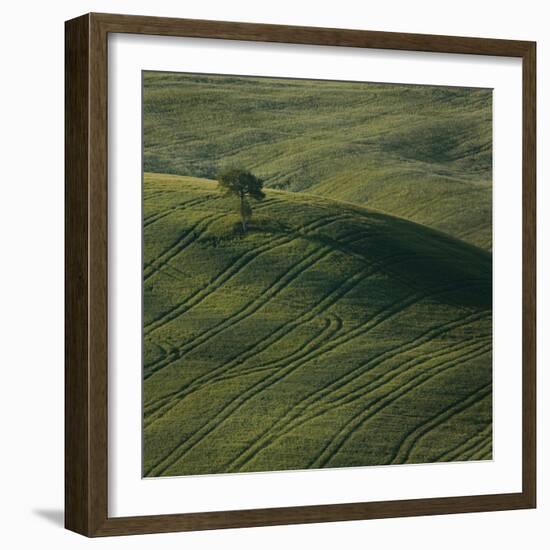 Tuscany IX-Maciej Duczynski-Framed Photographic Print